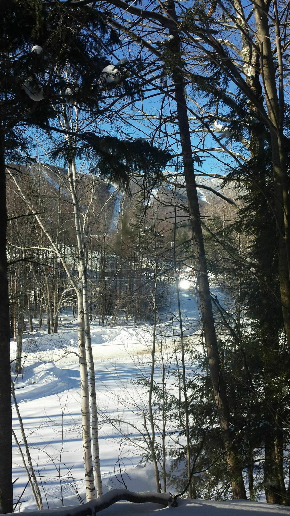 Sugartree Inn Warren Екстериор снимка
